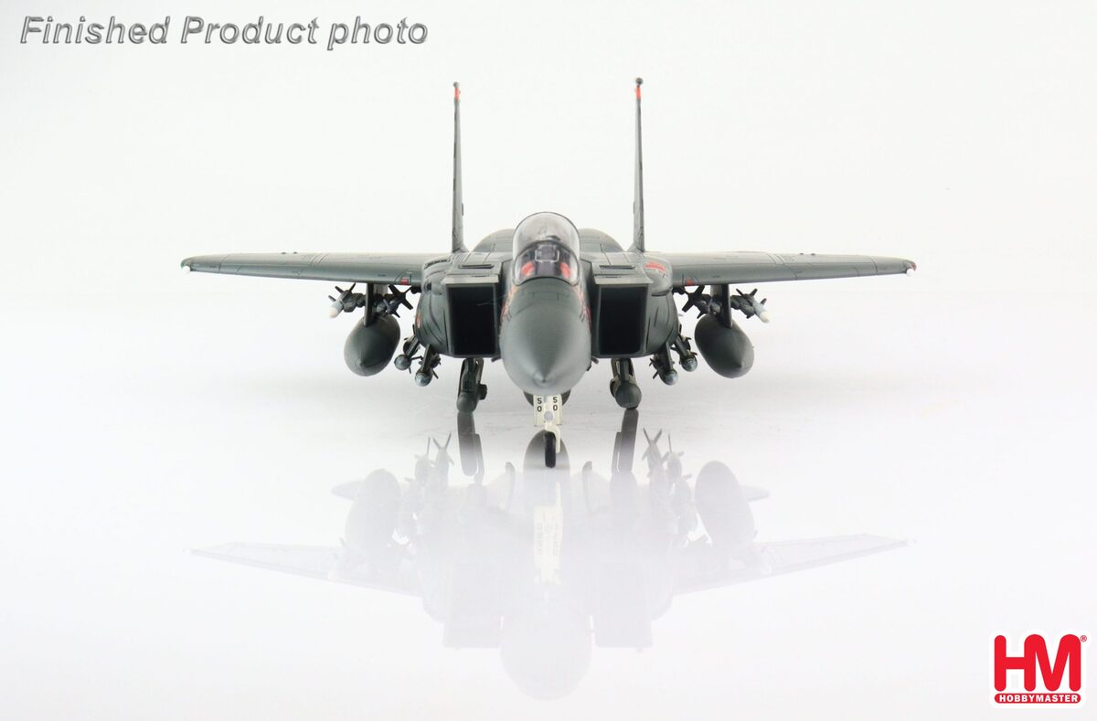 Hobby Master F-15E アメリカ空軍 第366戦闘航空団 第391戦闘飛行隊「ボールド・タイガーズ」 特別塗装 「タイガーミート ・オブ・アメリカ2005