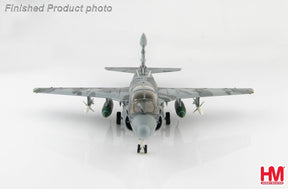 EA-6Eプラウラー アメリカ海軍 第142電子戦飛行隊 「グレイ・ウルブス」 イラクの自由作戦時 バグラム基地・アフガニスタン 07年 #520/#160437 1/72 [HA5010]