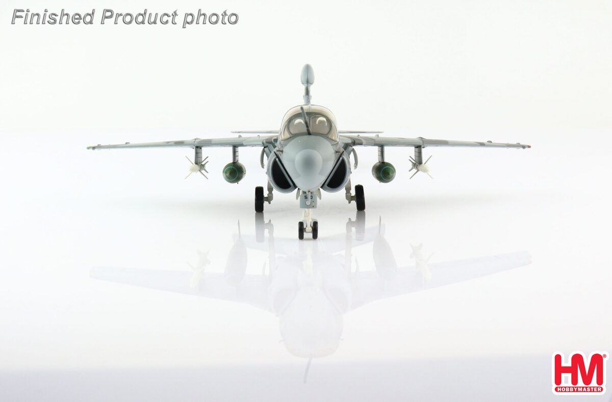 EA-6E Prowler, US Navy 142nd Electronic Combat Squadron "Gray Wolves", Operation Iraqi Freedom (no Shark Mouth paint version), Bagram Air Base, Afghanistan, 2007 #520/#160437 1/72 [HA5010B]