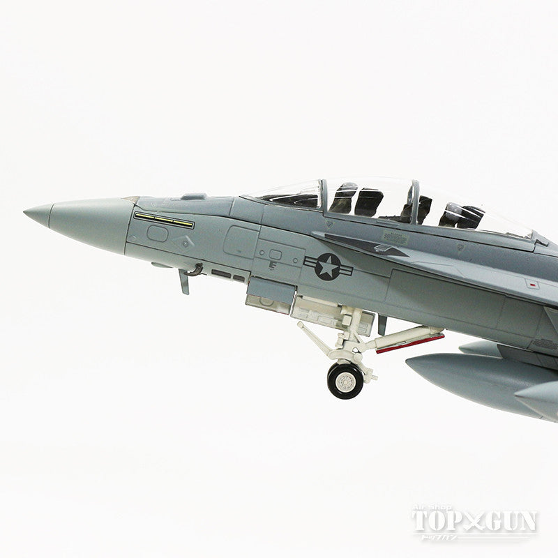 F/A-18F (two-seater) US Navy 122nd Fighter Attack Squadron "Flying Eagles" RAF Fairford, UK 2006 #166673/NJ 1/72 [HA5110]