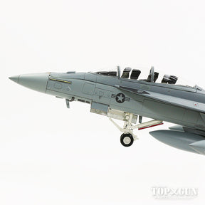 F/A-18F（複座型） アメリカ海軍 第122戦闘攻撃飛行隊 「フライング・イーグルス」 フェアフォード基地・イギリス 06年 #166673／NJ 1/72 [HA5110]