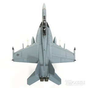 F/A-18F（複座型） アメリカ海軍 第122戦闘攻撃飛行隊 「フライング・イーグルス」 フェアフォード基地・イギリス 06年 #166673／NJ 1/72 [HA5110]