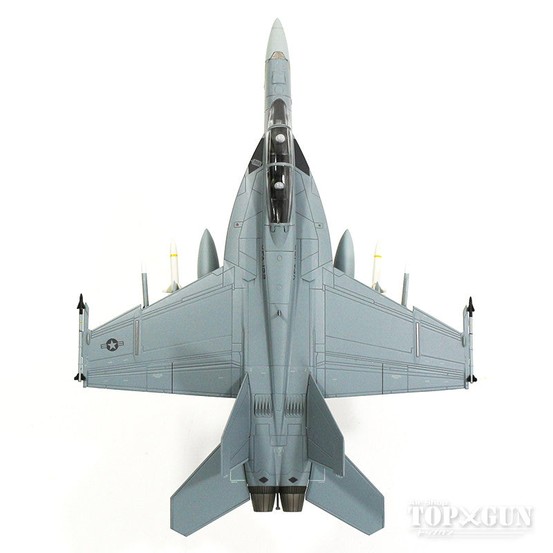 F/A-18F（複座型） アメリカ海軍 第122戦闘攻撃飛行隊 「フライング・イーグルス」 フェアフォード基地・イギリス 06年 #166673／NJ 1/72 [HA5110]
