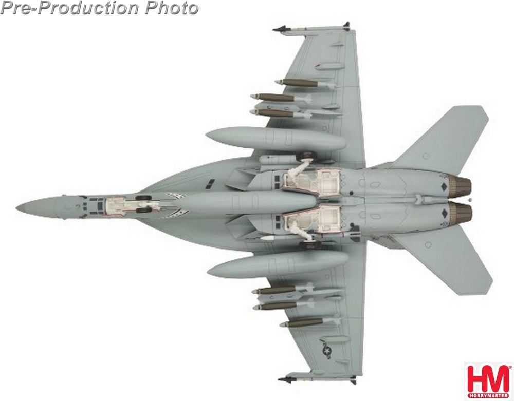 Hobby Master F/A-18F（複座型）アメリカ海軍 第213戦闘攻撃飛行隊