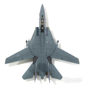 F-14D アメリカ海軍 第31戦闘飛行隊 「トムキャッターズ」 隊長機 空母セオドア・ルーズベルト搭載 最終航海時 06年 #159600/AJ111 「クリスティーン」 1/72 [HA5202]