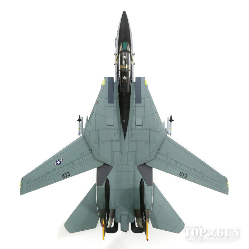 Hobby Master F-14B US Navy 103rd Fighter Squadron Hobby Master F-14B US Navy 103rd Fighter Squadron
