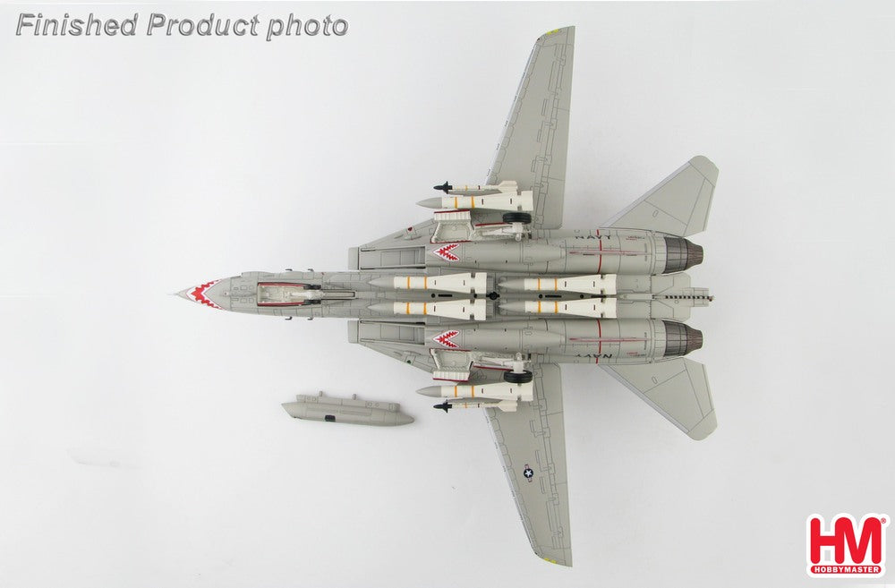 F-14A アメリカ海軍 第111戦闘飛行隊 「サンダウナーズ」 空母カールビンソン搭載 「ミス・モリー」 89年 NL200/#161621 1/72 [HA5213B]