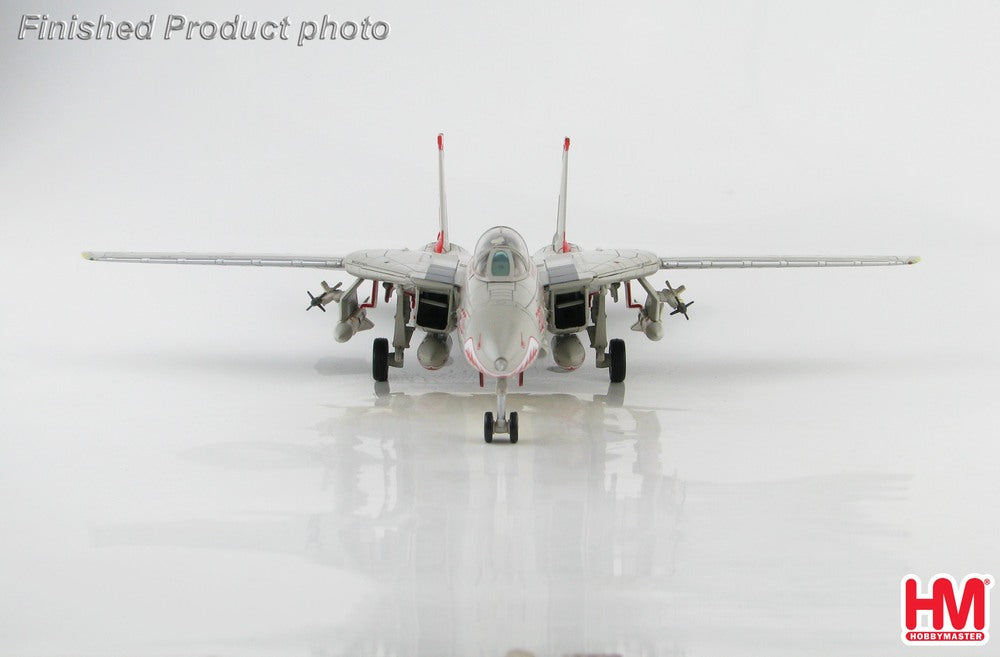 F-14A US Navy 111th Fighter Squadron "Sundowners" on board the aircraft carrier Carl Vinson "Miss Molly" 1989 NL200/#161621 1/72 [HA5213B]