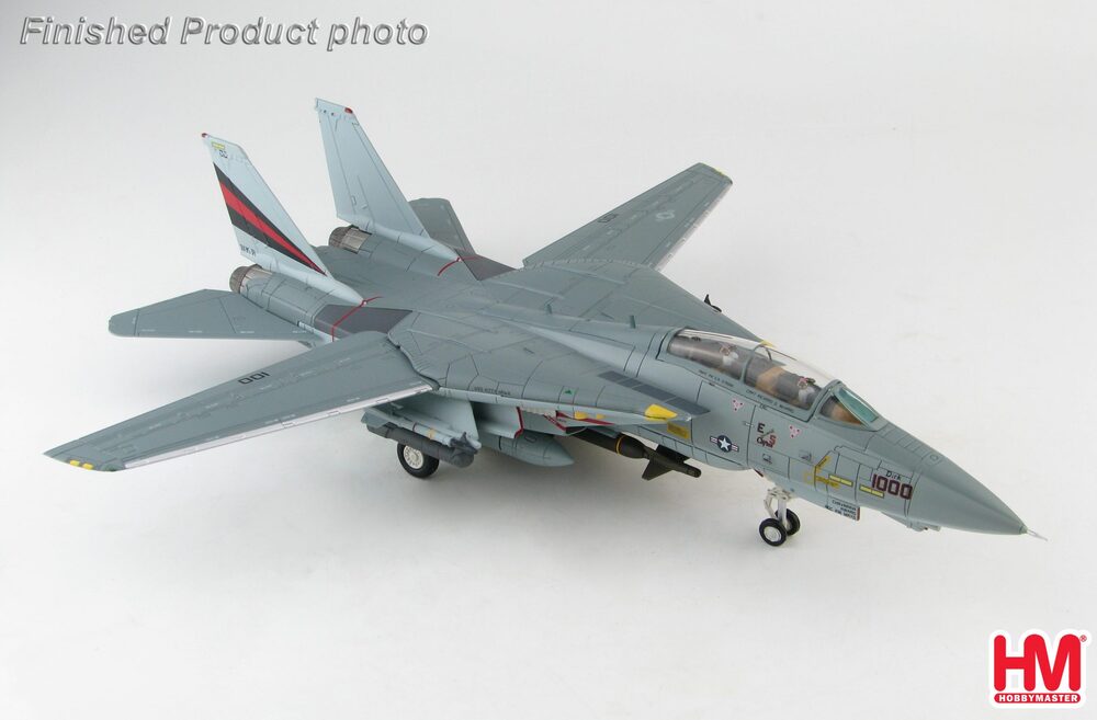 F-14A Tomcat 154th Fighter Squadron Black Knights 1999 1/72 [HA5233]