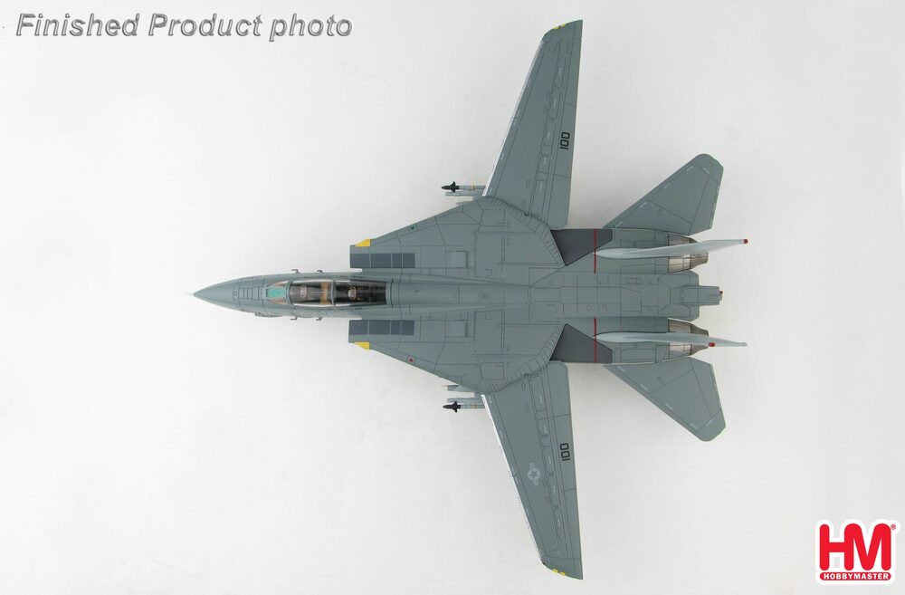 F-14A Tomcat 154th Fighter Squadron Black Knights 1999 1/72 [HA5233]