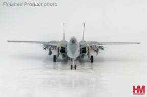 F-14A トムキャット 第154戦闘飛行隊 ブラックナイツ 1999 1/72 [HA5233]