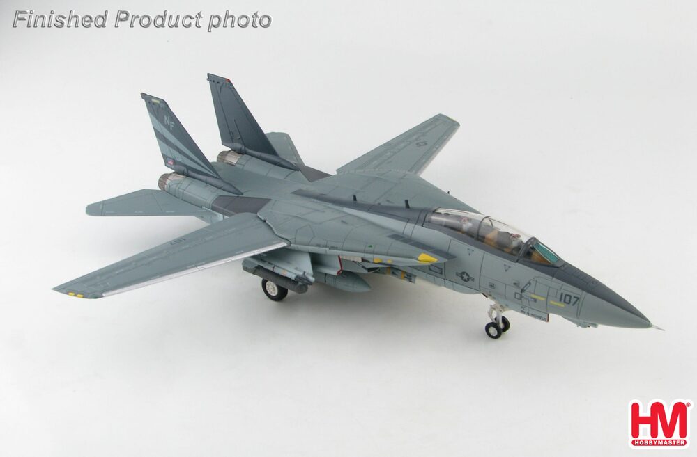 F-14A Tomcat 154th Fighter Squadron Operation Iraqi Freedom 2003 1/72 [HA5234]