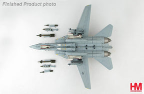 F-14A トムキャット 第154戦闘飛行隊 オペレーション・イラク・フリーダム 2003 1/72 [HA5234]