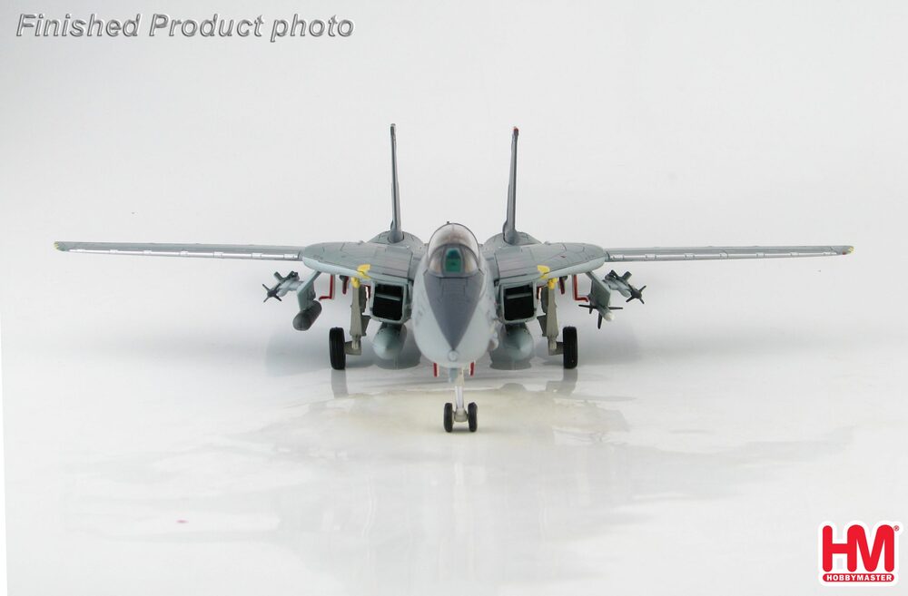 F-14A トムキャット 第154戦闘飛行隊 オペレーション・イラク・フリーダム 2003 1/72 [HA5234]