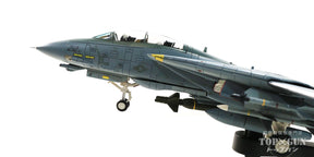 F-14D アメリカ海軍 第213戦闘飛行隊「ブラックライオンズ」 ミーガン・フラナガン少佐機 イラクの自由作戦時 空母セオドア・ルーズベルト搭載 06年 #212 1/72 [HA5249]