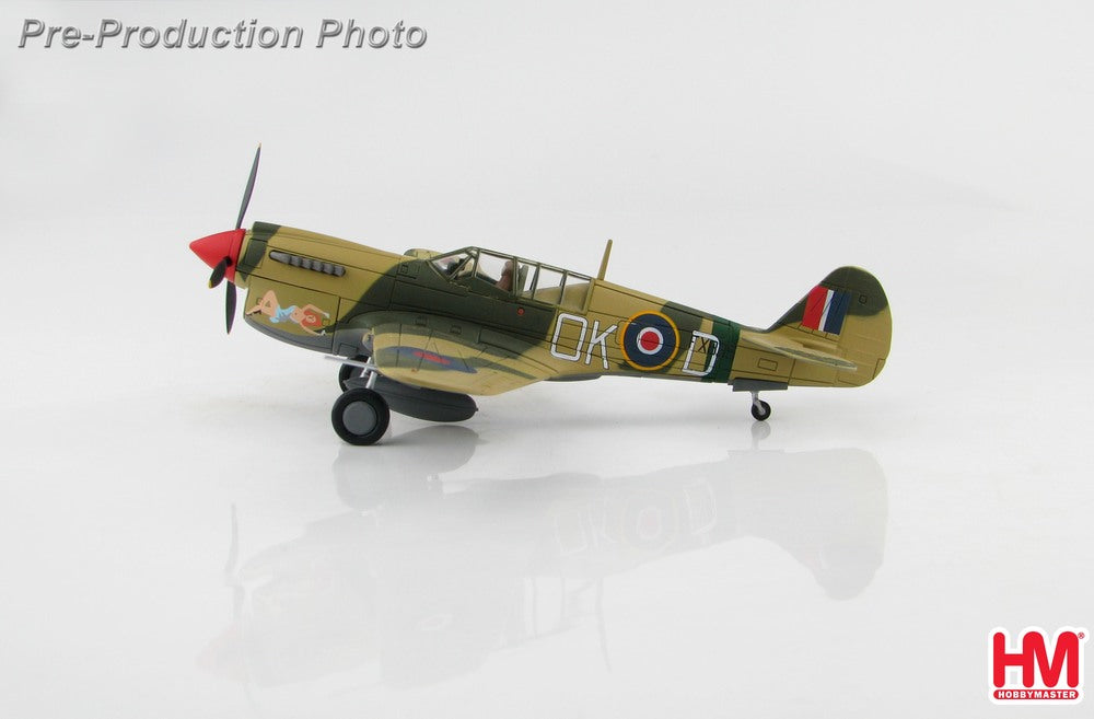 Curtiss P-40N Royal Australian Air Force No Orchids 1/72 [HA5508]