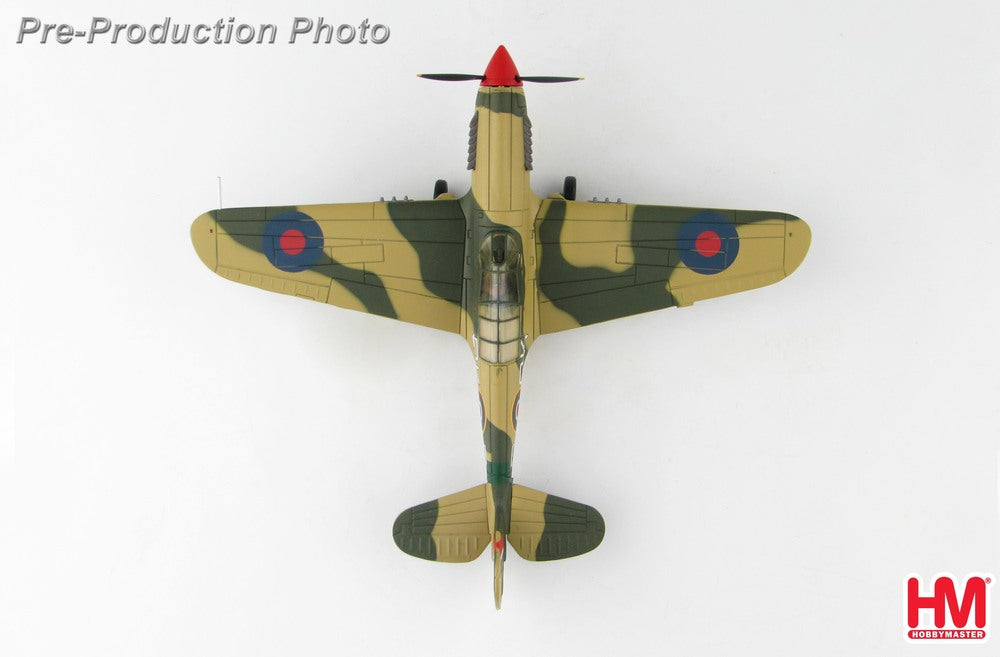 Curtiss P-40N Royal Australian Air Force No Orchids 1/72 [HA5508]