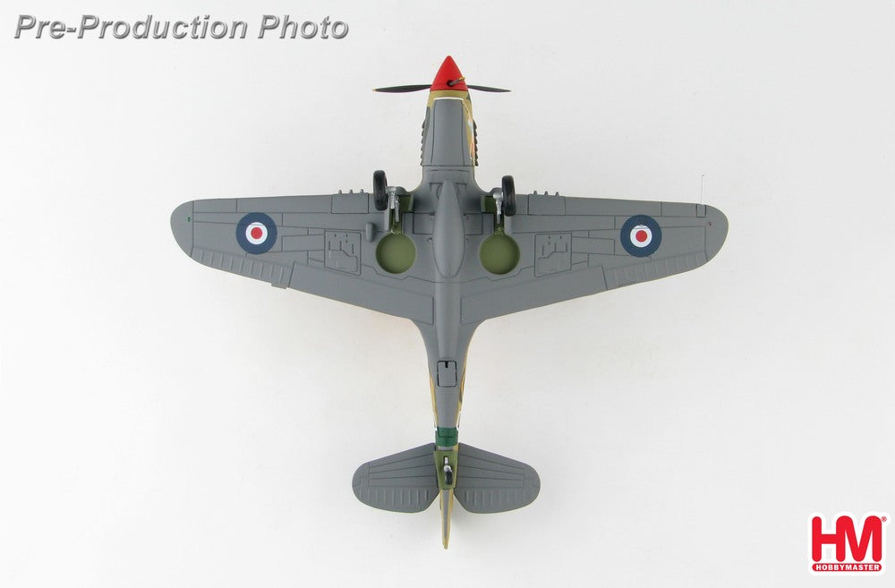 Curtiss P-40N Royal Australian Air Force No Orchids 1/72 [HA5508]