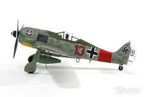 Fw190A-7 ドイツ空軍 第1戦闘航空団 第II飛行隊 隊長ハインツ・ベーア大尉機 200機撃墜時 シュテルメーデ基地 44年4月 1/48 [HA7417]