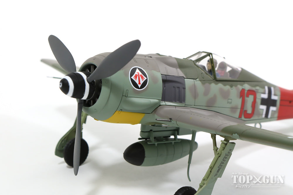 Fw190A-7 ドイツ空軍 第1戦闘航空団 第II飛行隊 隊長ハインツ・ベーア大尉機 200機撃墜時 シュテルメーデ基地 44年4月 1/48 [HA7417]