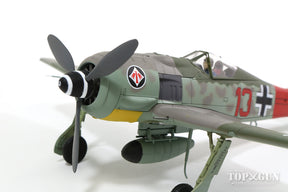 Fw190A-7 ドイツ空軍 第1戦闘航空団 第II飛行隊 隊長ハインツ・ベーア大尉機 200機撃墜時 シュテルメーデ基地 44年4月 1/48 [HA7417]