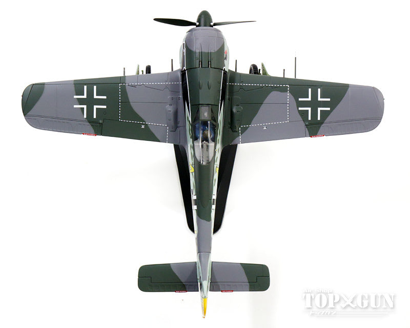 Fw190A-4 ドイツ空軍 第2戦闘航空団 第9中隊 隊長ジークフリート・シュネル大尉機 43年2月 #4 1/48 [HA7420]