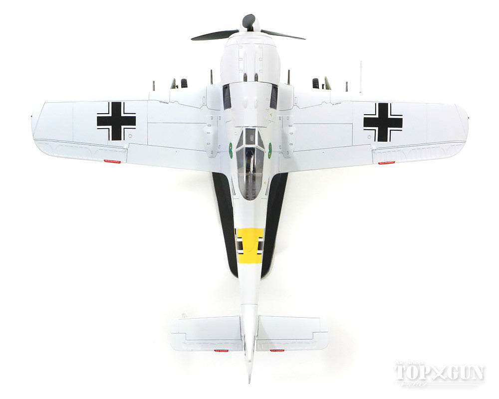 Hobby Master Fw190A-4 ドイツ空軍 第54戦闘航空団 司令ハンネス