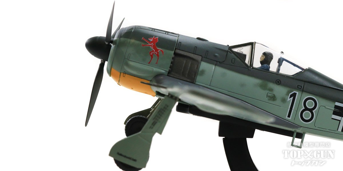 Fw190A-4 德国空军，第 2 战斗机联队，第 8 中队，鲁道夫·艾塞尔中士的飞机，法国布列斯特-吉帕瓦斯，1943 年 #18/#760 1/48 [HA7428]