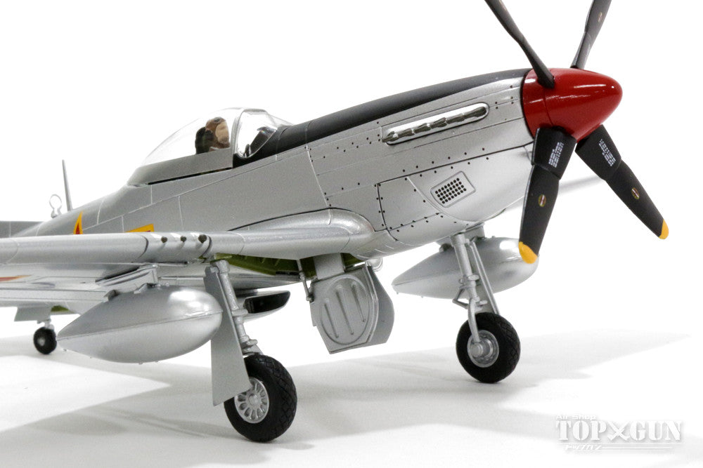 P-51D Chinese Air Force 1st Squadron 1949 (Air Force Aviation Museum preservation aircraft) #3032 1/48 [HA7730]