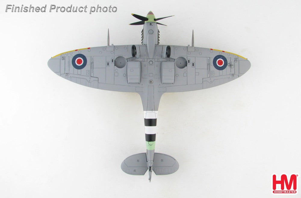 Spitfire Mk.Ⅸ Royal Air Force Norwegian Squadron 1/48 [HA8321]