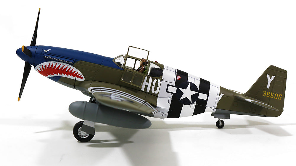 P-51B Mustang, US Army Air Forces, 8th Air Force, 352nd Fighter Group, 487th Fighter Squadron #43-6506 "Blue Nose Busters of Bodney" 1944 1/48 [HA8504]