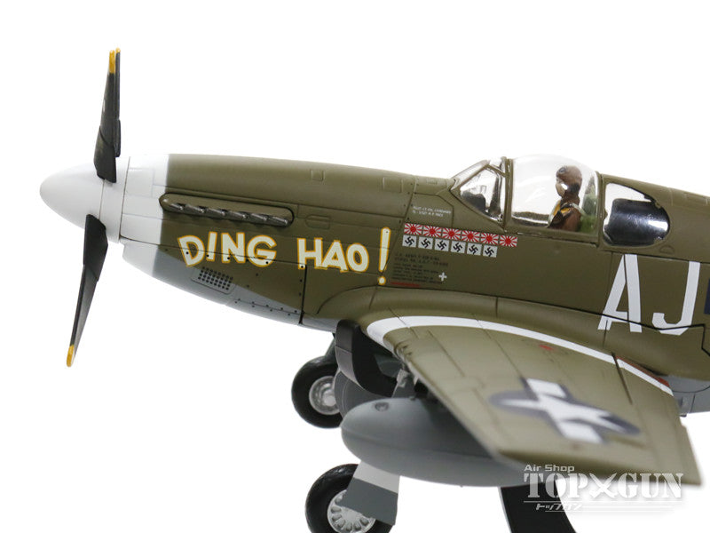 P-51Bマスタング アメリカ陸軍航空軍 第9空軍 第354戦闘航空群 第487戦闘飛行隊 #43-6315 「ディン・ハオ」 44年 1/48 [HA8508]