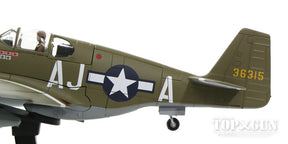 P-51Bマスタング アメリカ陸軍航空軍 第9空軍 第354戦闘航空群 第487戦闘飛行隊 #43-6315 「ディン・ハオ」 44年 1/48 [HA8508]