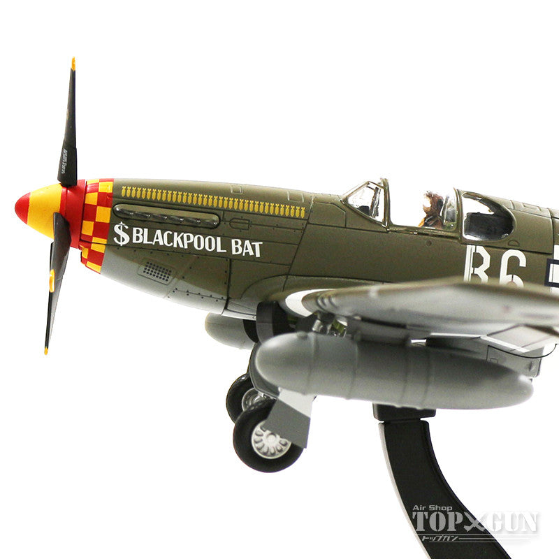 P-51B アメリカ陸軍航空軍 第357戦闘航空群 第363戦闘飛行隊 #324842 「ブラックプール・バット」 1/48 [HA8512]