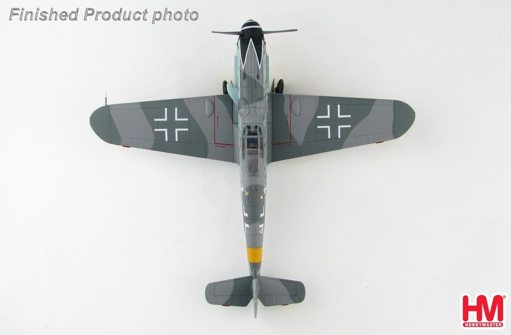 Bf-109G-6 German Air Force No. 52 Fighter Wing, Erich Hartmann's aircraft 1/48 [HA8750]