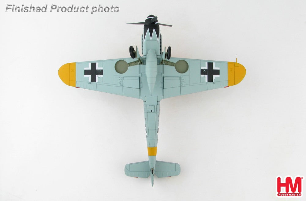 Bf-109G-6 German Air Force No. 52 Fighter Wing, Erich Hartmann's aircraft 1/48 [HA8750]