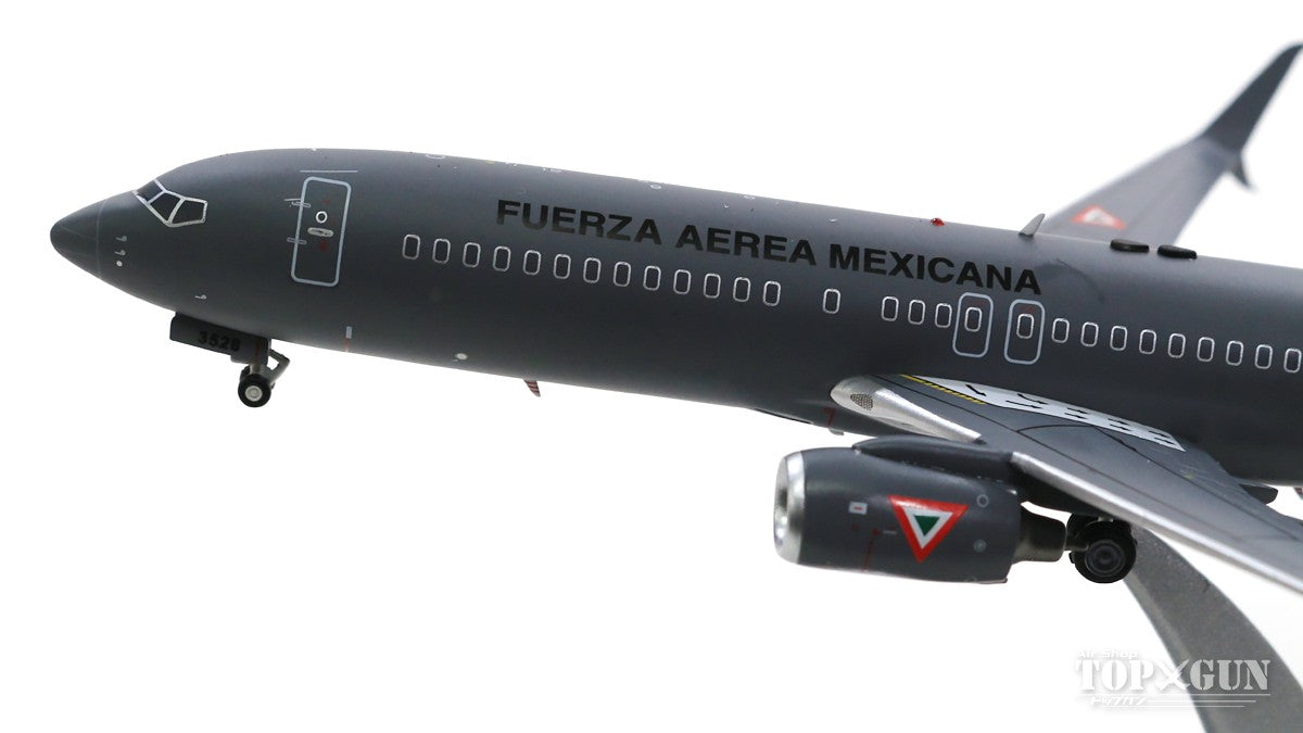 737-800 メキシコ空軍 （スタンド付属） #3528 1/200 [JF-737-8-002]
