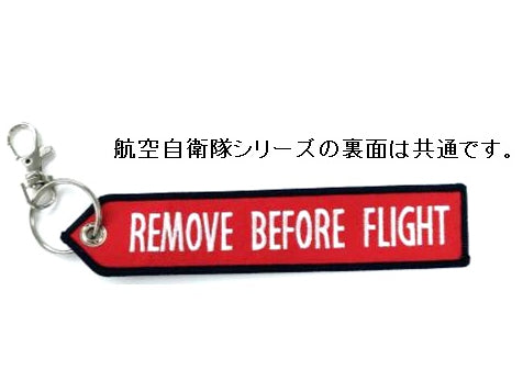 Flight Tag Flight Development Experiment Group Gifu [KBTAG011]