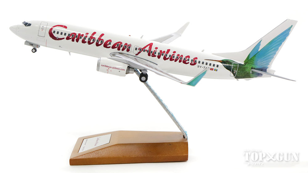 737-800w Caribbean Airlines 9Y-TAB (stand included) 1/200 *Made of metal [LH2003]