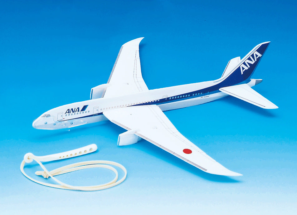 Flying Model Plane ANA [MT307]