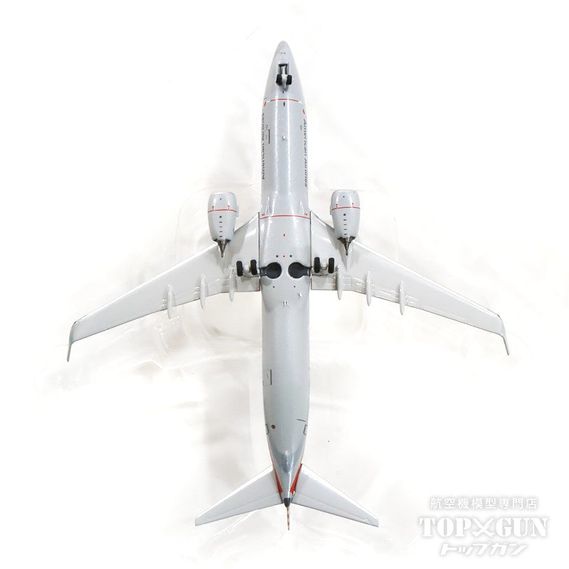 NG Models 737-800w アメリカン航空 特別塗装「ワンワールド」 2018年
