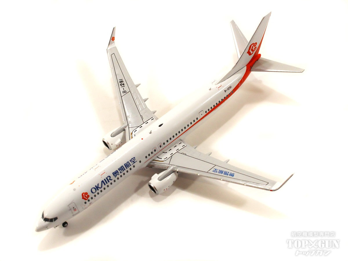 1/400 南西航空 YS-11,737-200,767-300,3機種セット 1/400 南西航空 YS-11,737-200,767-300,3機種セット