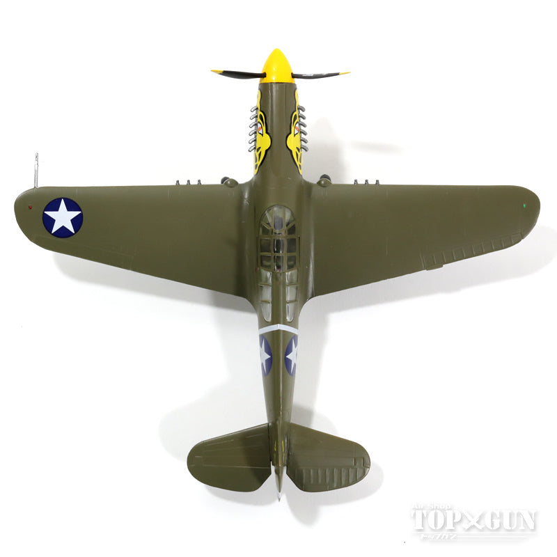 P-40Eウォーホーク　アメリカ陸軍航空軍 1/72 ※プラ製 [P40-10]