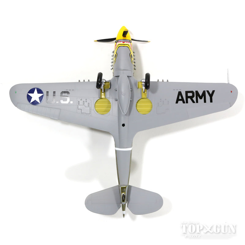 P-40E Warhawk US Army Air Forces 1/72 *Plastic [P40-10]