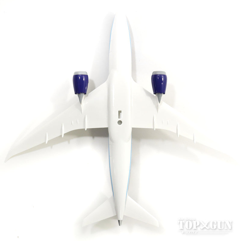 787-8 Azerbaijan Airlines No serial number (No gear/Stand included) 1/200 *Plastic [SKR843]