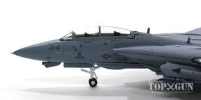 F-14A アメリカ海軍 第1戦闘飛行隊 映画「Top Gun」 マーベリック＆グース機 #114 1/200 [TSMWTP003]