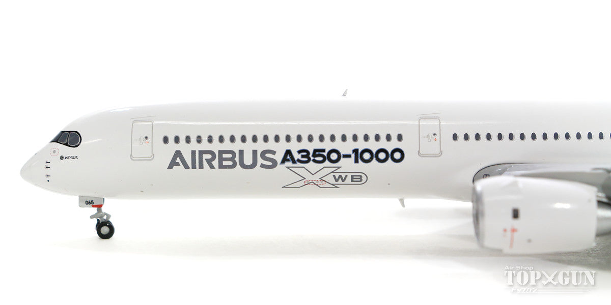 A350-1000 "2018 Asia Demonstration Tour Edition" F-WLXV *Flaps down 1/400 [XX4037A]